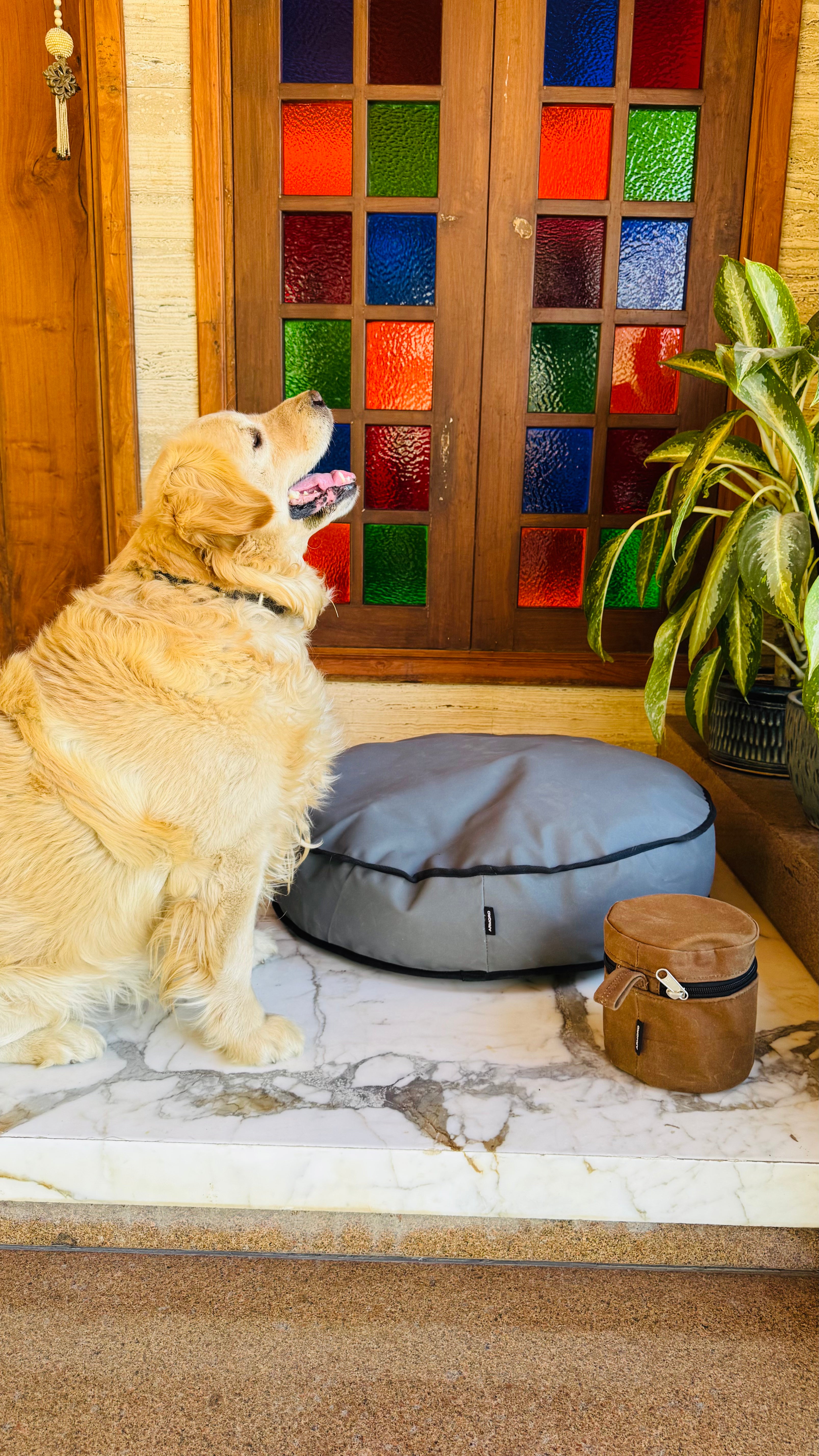 Dog Bed